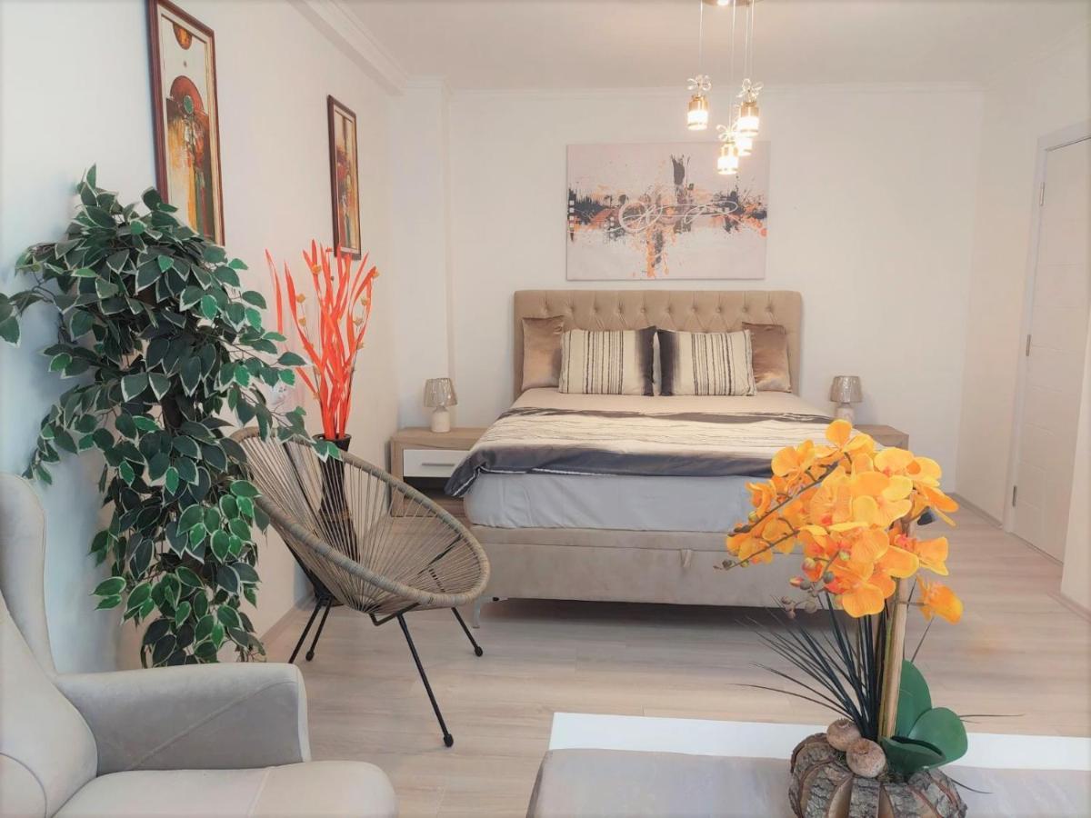 Apartment Lux