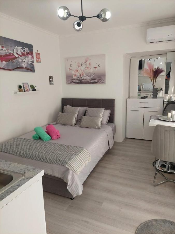 Apartment Lux